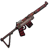 Skin's image