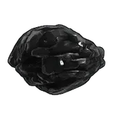 Skin's image