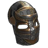 Skin's image