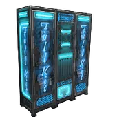 Skin's image
