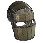 Skin's image