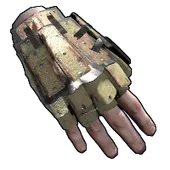 Skin's image