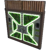 Skin's image