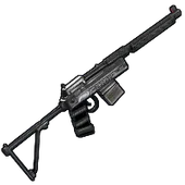 Skin's image