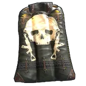 Skin's image