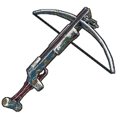 Skin's image