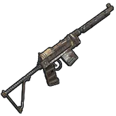 Skin's image
