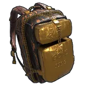 Skin's image
