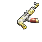Skin's image