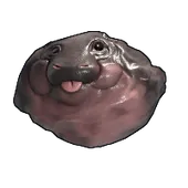 Skin's image