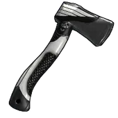 Skin's image