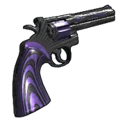 Skin's image