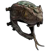 Skin's image