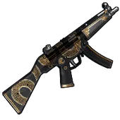 Skin's image
