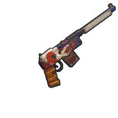 Skin's image