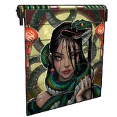 Skin's image
