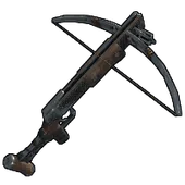 Skin's image