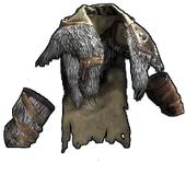 Skin's image