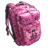 Skin's image
