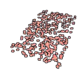 Skin's image