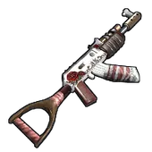 Skin's image