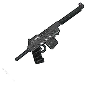 Skin's image