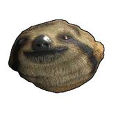Skin's image