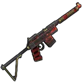 Skin's image