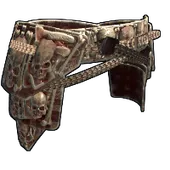 Skin's image