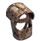 Skin's image