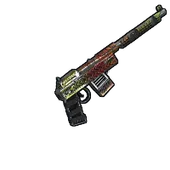 Skin's image