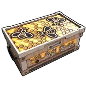Skin's image