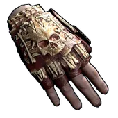 Skin's image