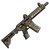 Skin's image