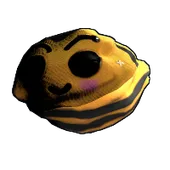 Skin's image