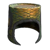 Skin's image