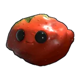 Skin's image