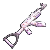 Skin's image