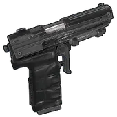 Skin's image