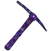 Skin's image