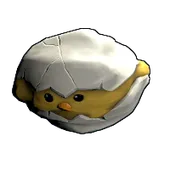 Skin's image