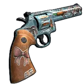 Skin's image