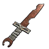 Skin's image