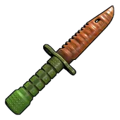 Skin's image
