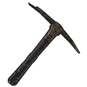 Skin's image