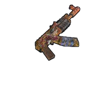 Skin's image