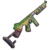 Skin's image