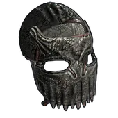 Skin's image