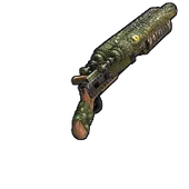 Skin's image