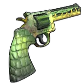 Skin's image